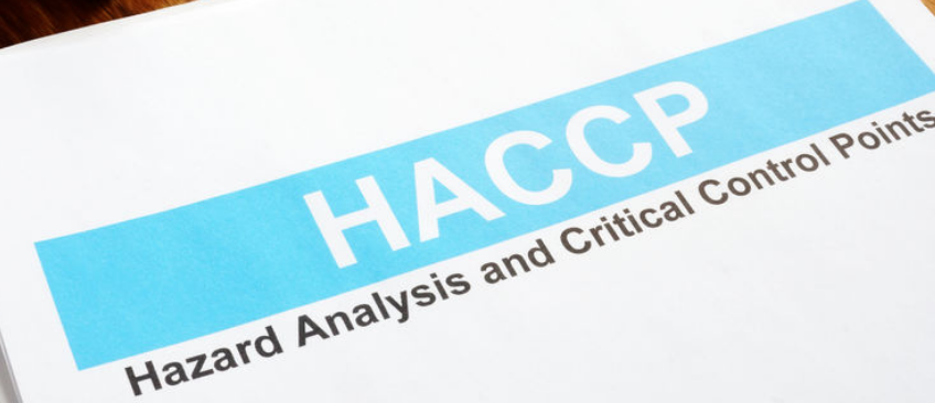 HACCP内审员培训