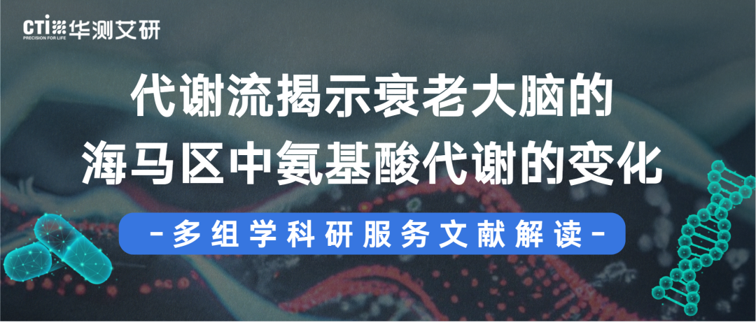 文献解读 | 代谢流揭示衰老大脑的海马区中氨基酸代谢的变化