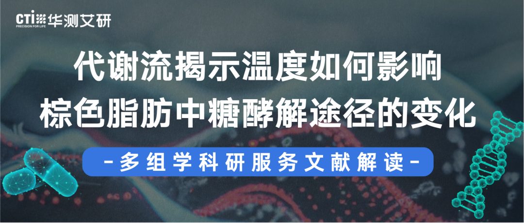 文献解读 | 代谢流揭示温度如何影响棕色脂肪中糖酵解途径的变化