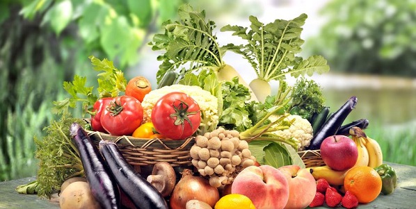 食品农产品全方位综合认证服务
