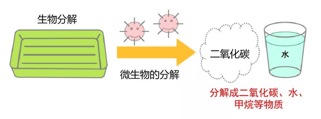 揭秘CTI华测检测生物降解一站式综合服务